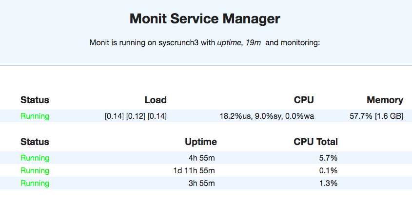 Monit-web-interface-SysCrunch